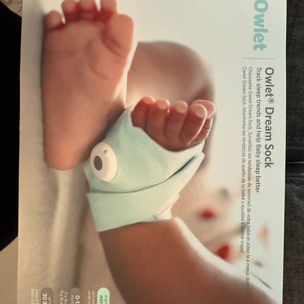 Owlet Dream Sock - Mint